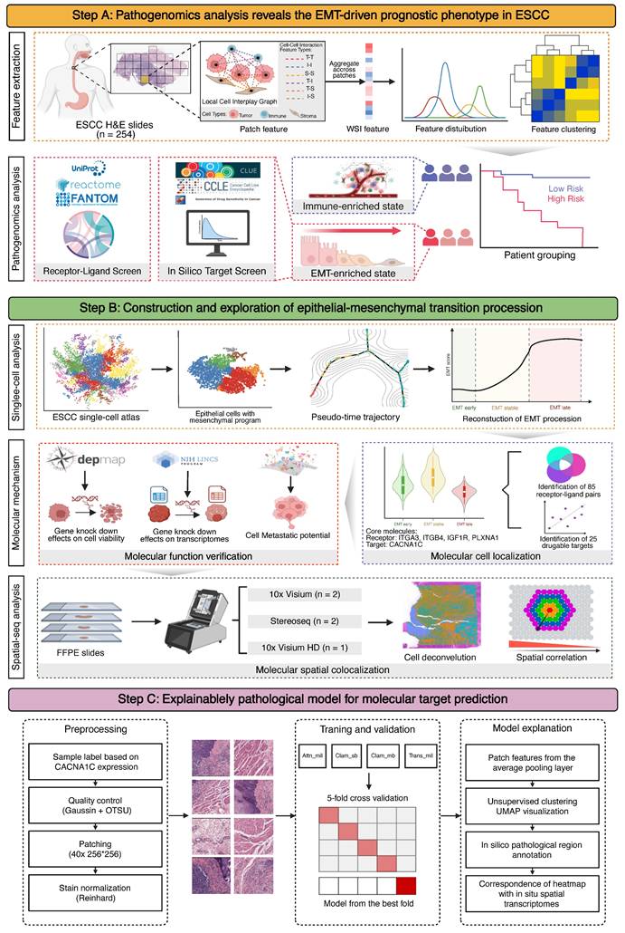 Theranostics Image