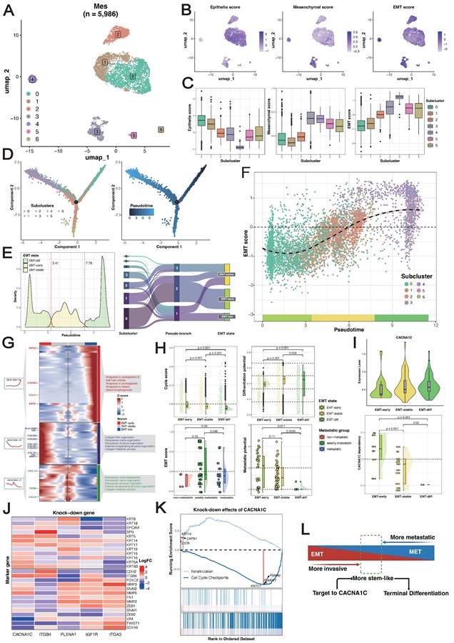 Theranostics Image