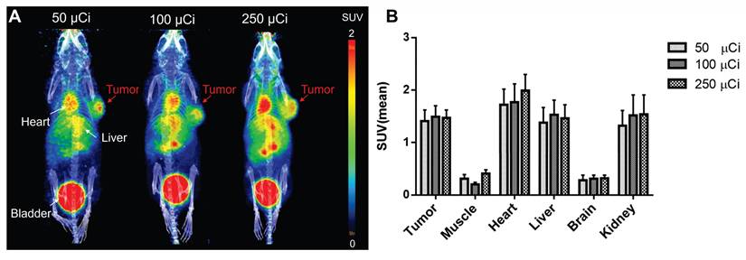 Theranostics Image