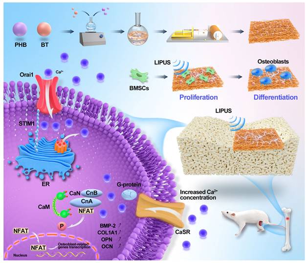 Theranostics Image
