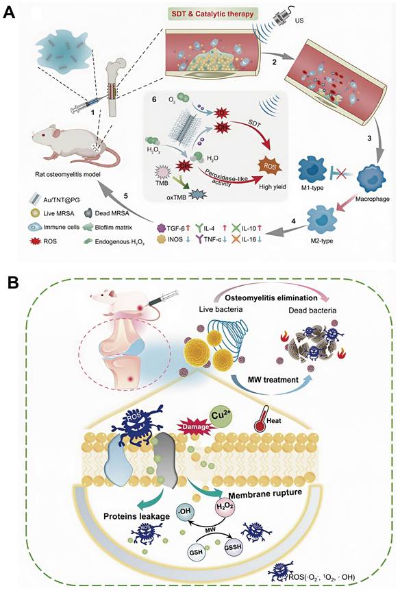 Theranostics Image