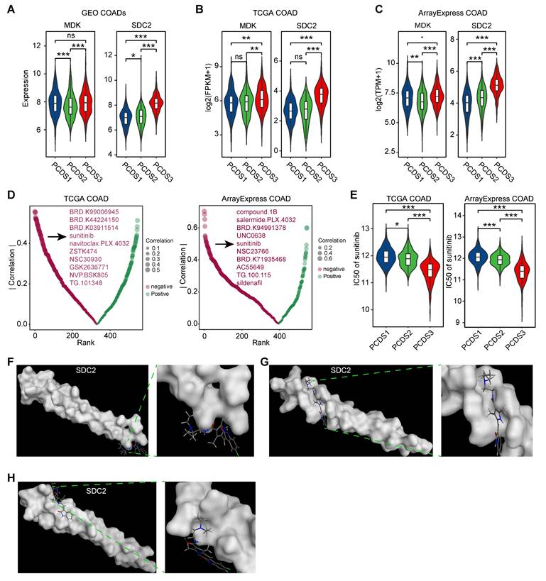 Theranostics Image