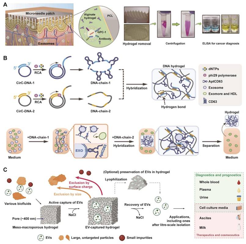 Theranostics Image