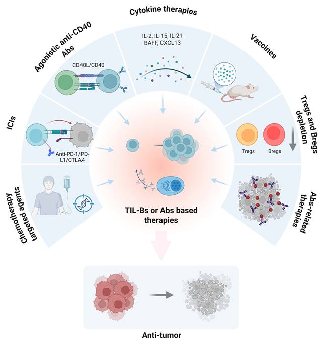Theranostics Image