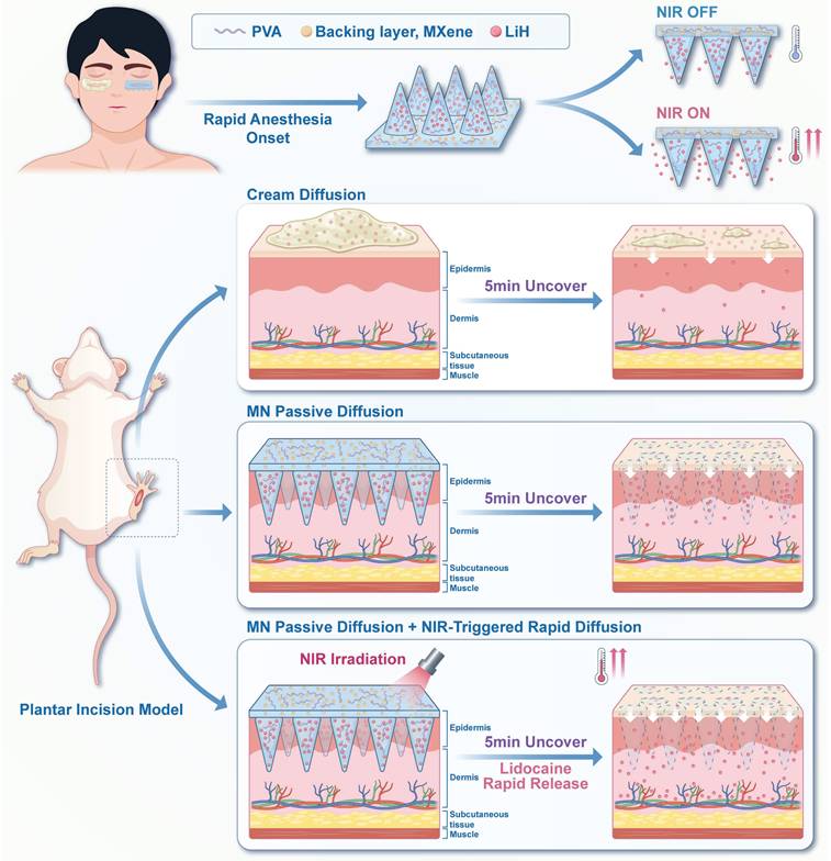 Theranostics Image