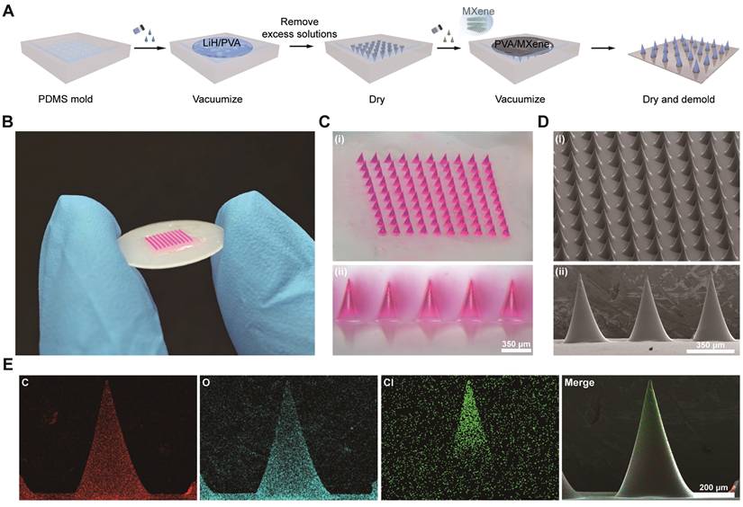 Theranostics Image