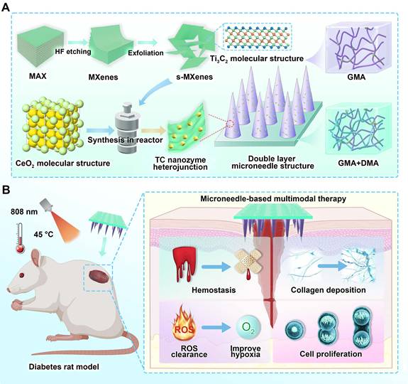 Theranostics Image