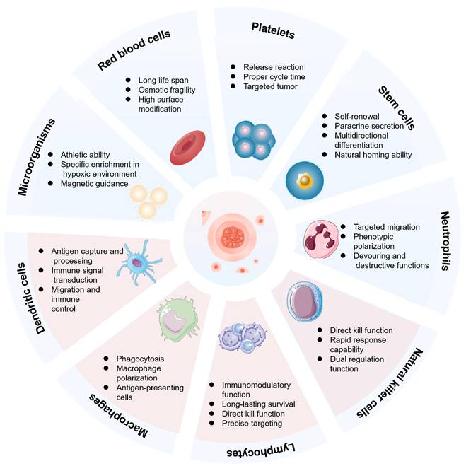 Theranostics Image