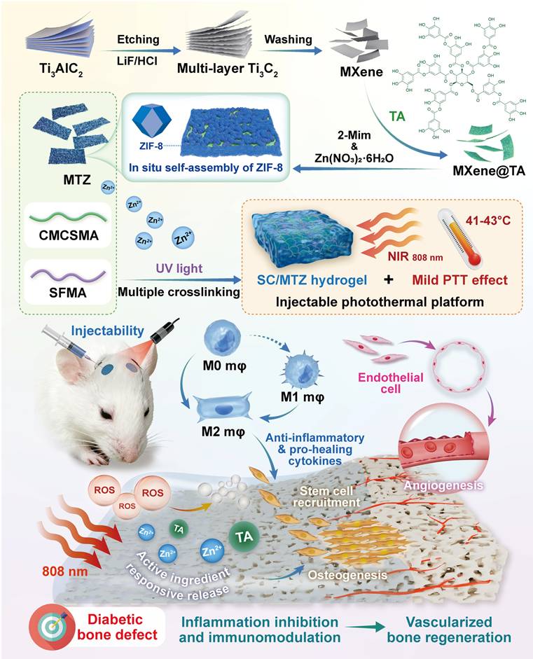 Theranostics Image