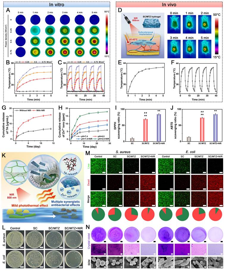 Theranostics Image