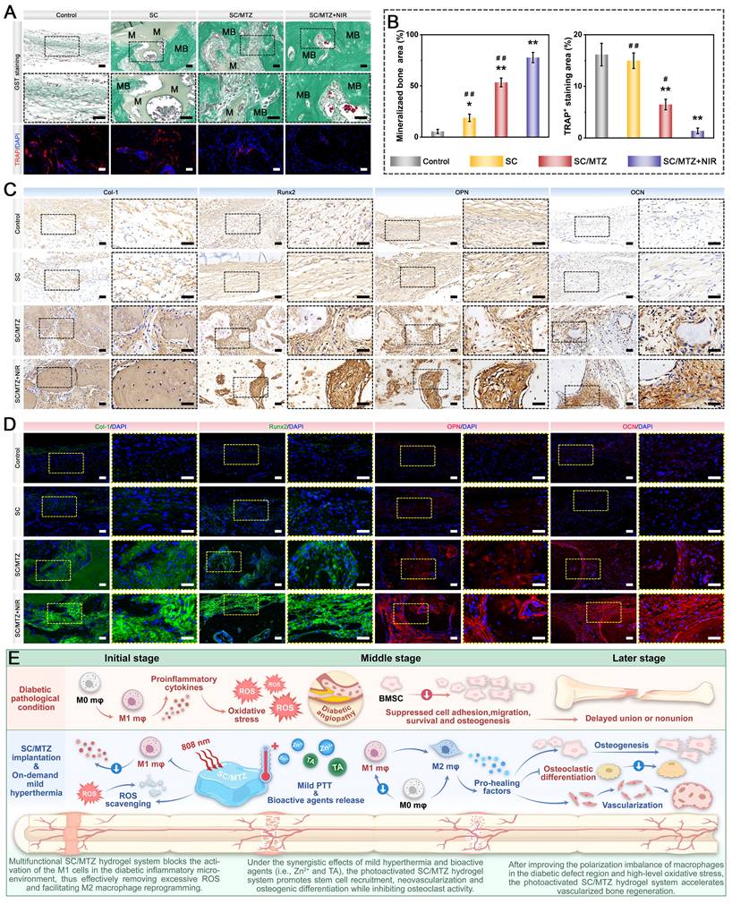 Theranostics Image