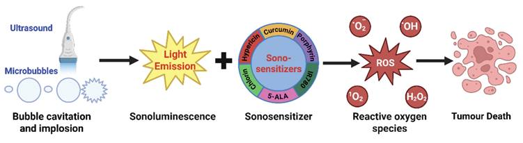 Theranostics Image