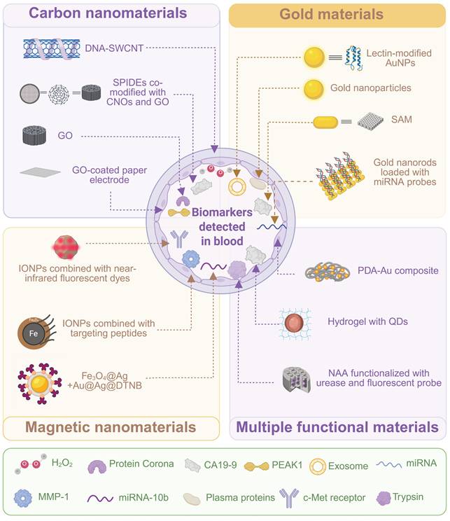 Theranostics Image