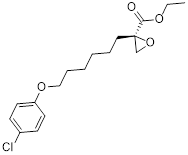 Theranostics inline graphic
