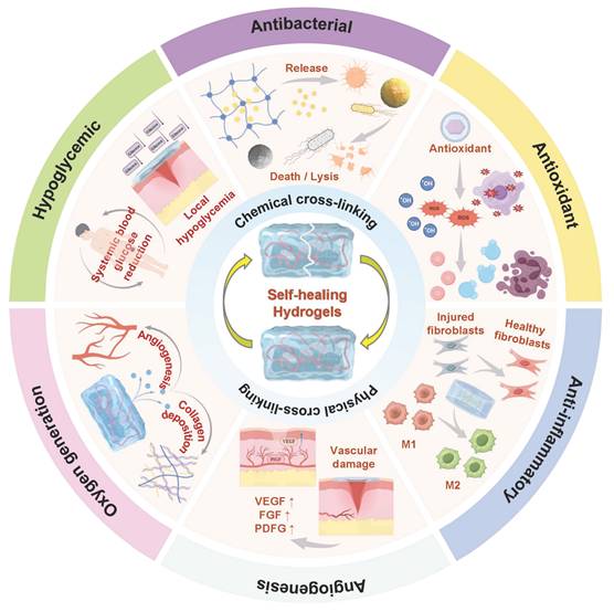 Theranostics Image