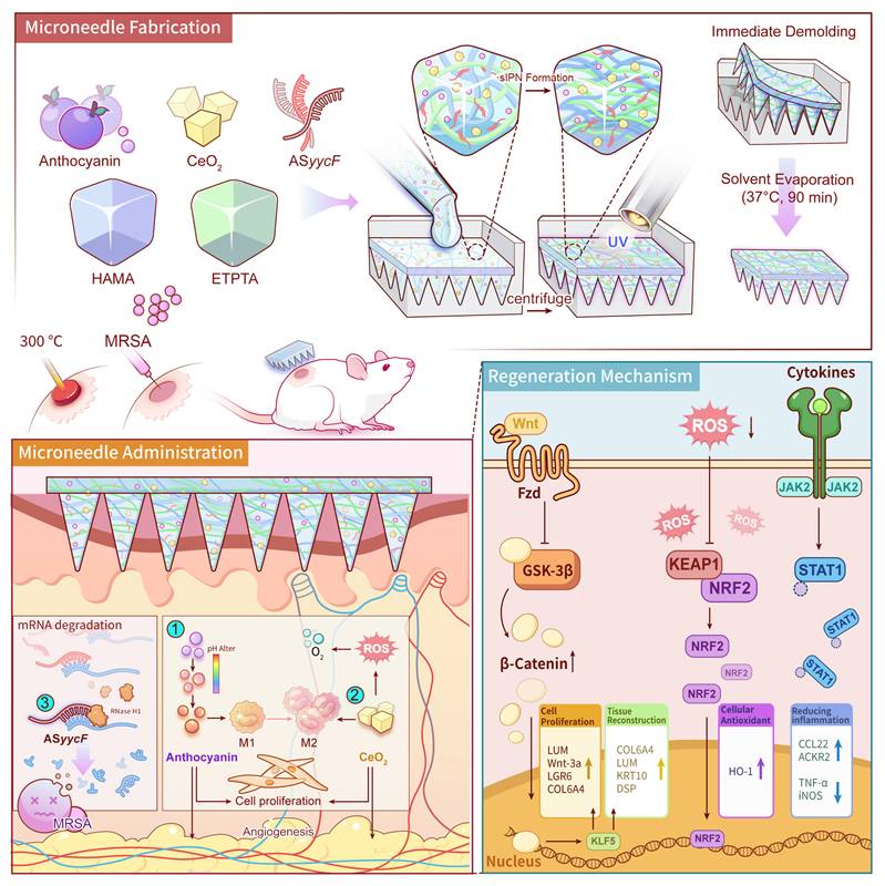 Theranostics Image