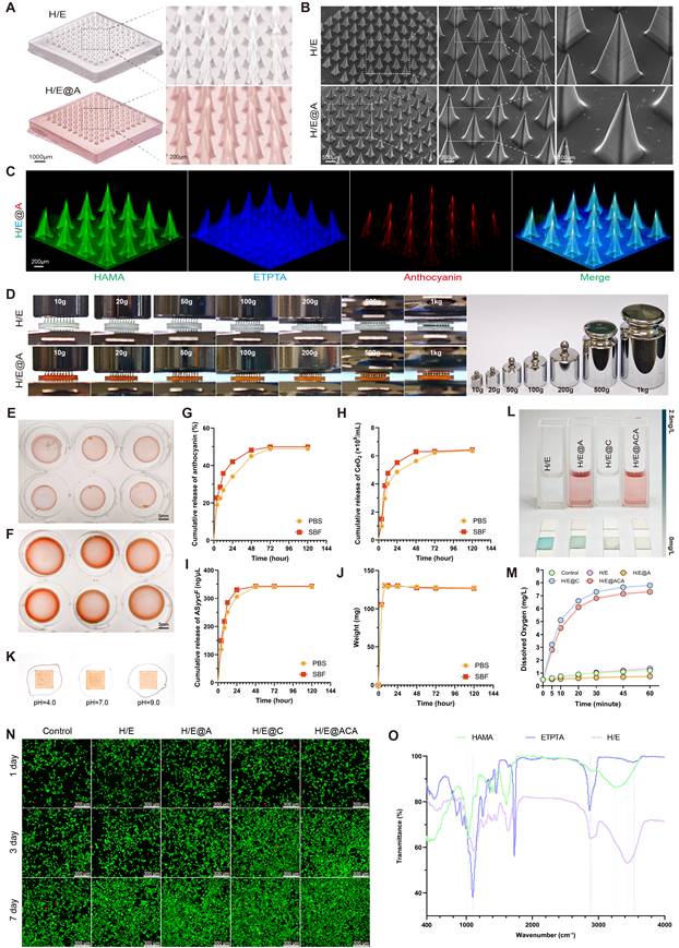 Theranostics Image