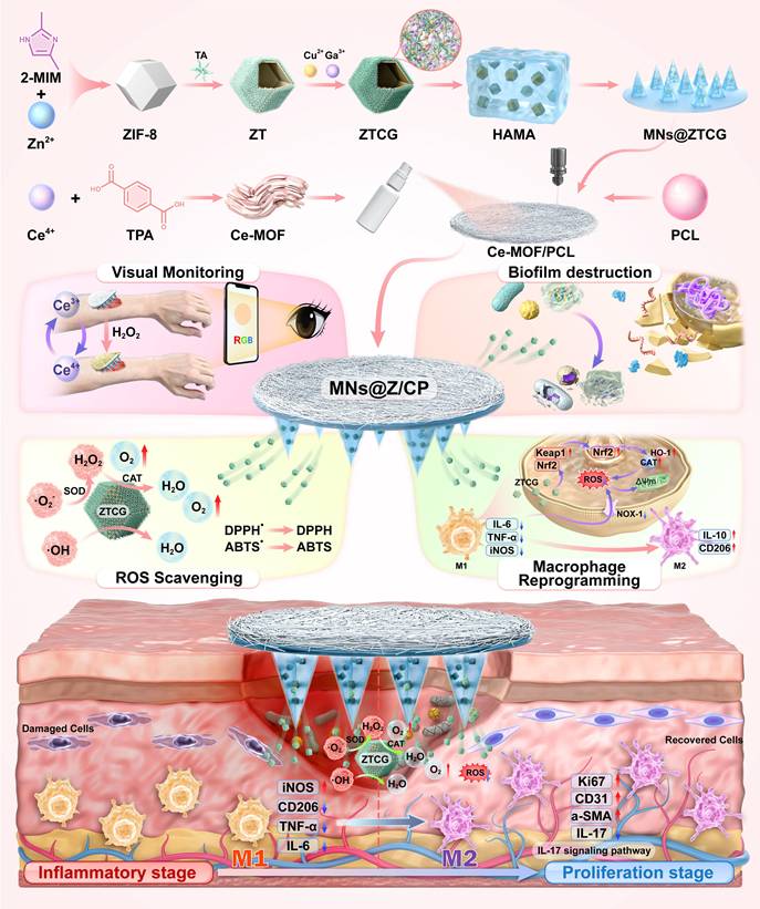 Theranostics Image