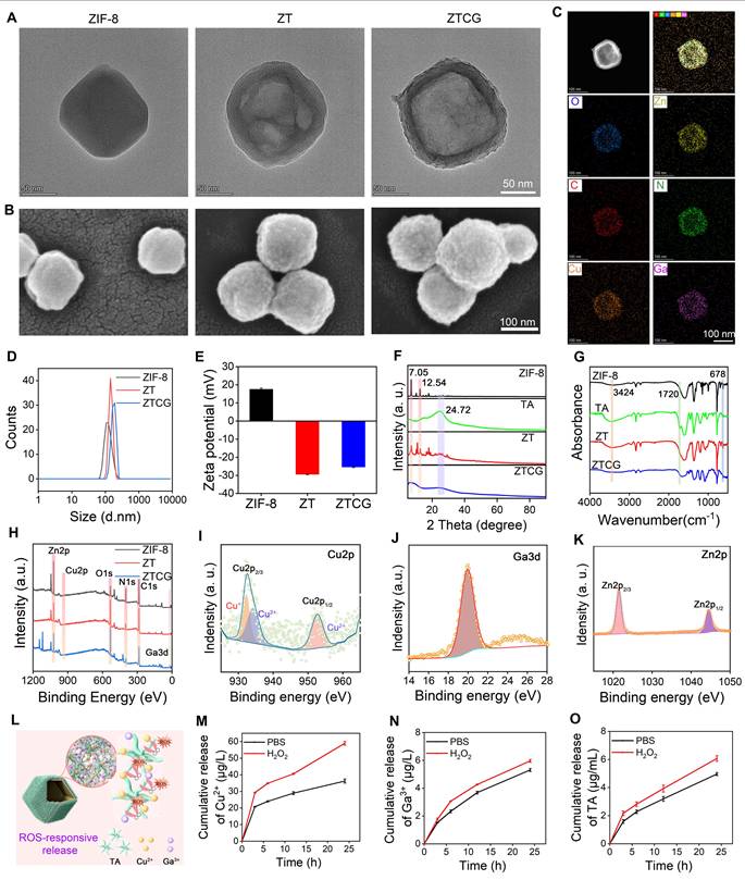 Theranostics Image