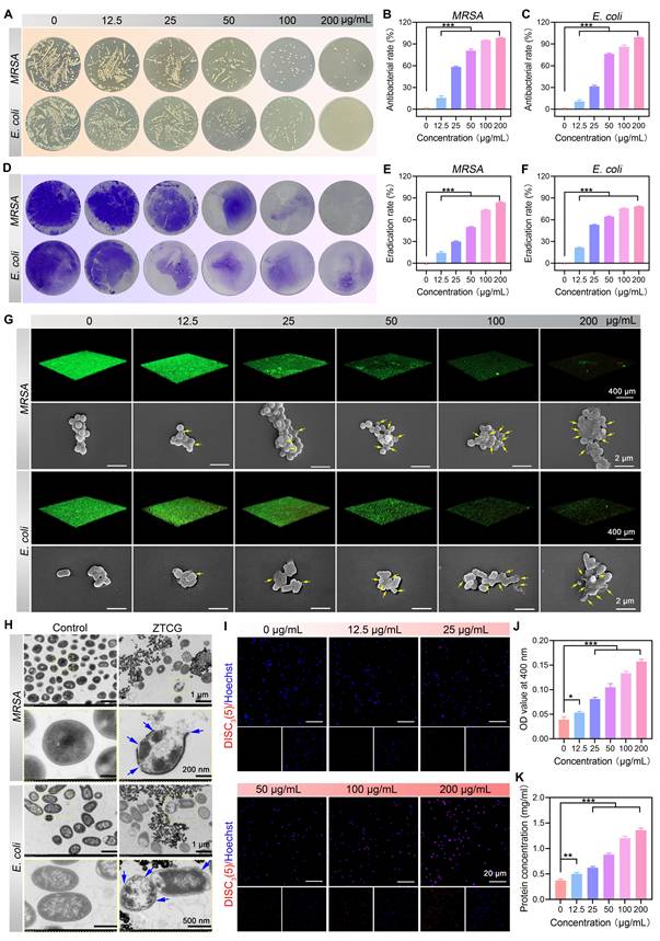 Theranostics Image
