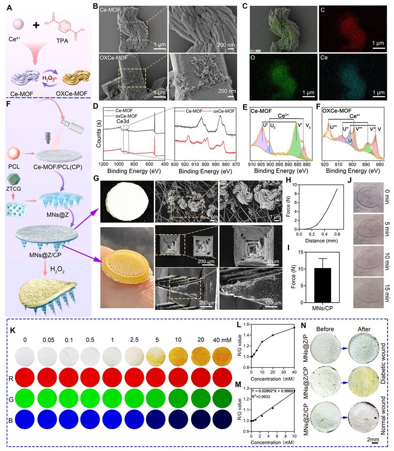 Theranostics Image
