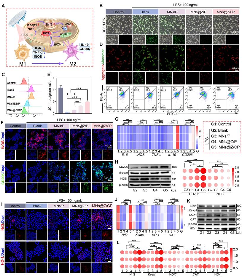 Theranostics Image