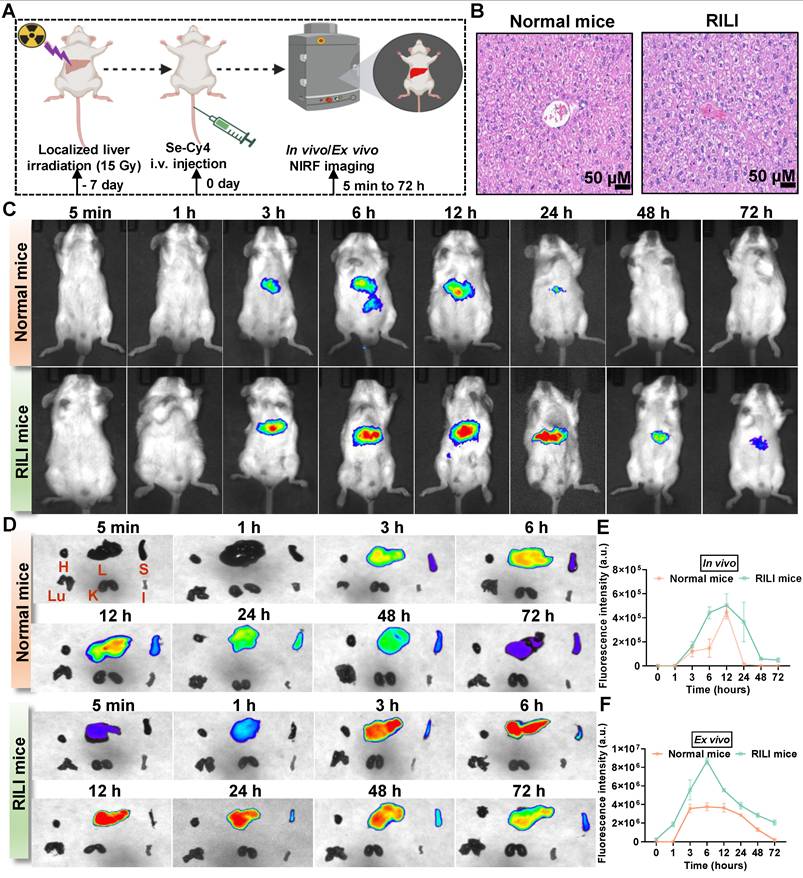 Theranostics Image