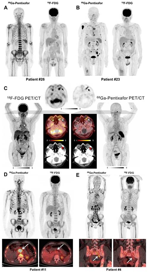 Theranostics Image