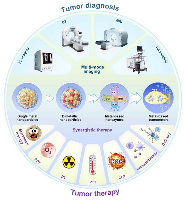 Theranostics Image