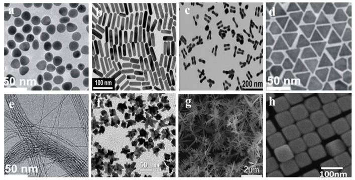 Theranostics Image