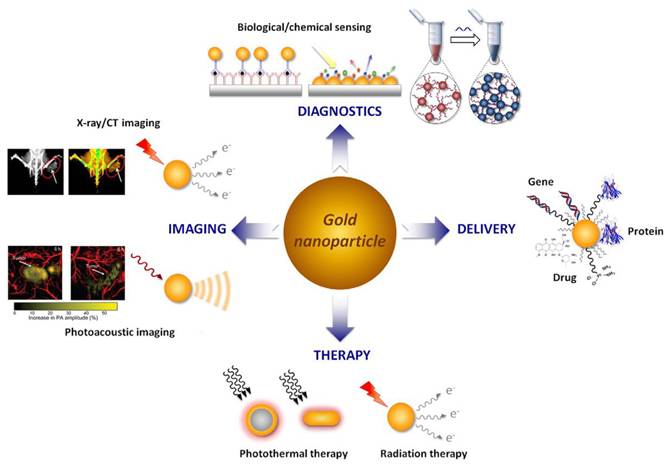 Theranostics Image
