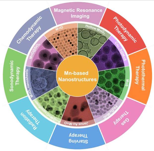 Theranostics Image
