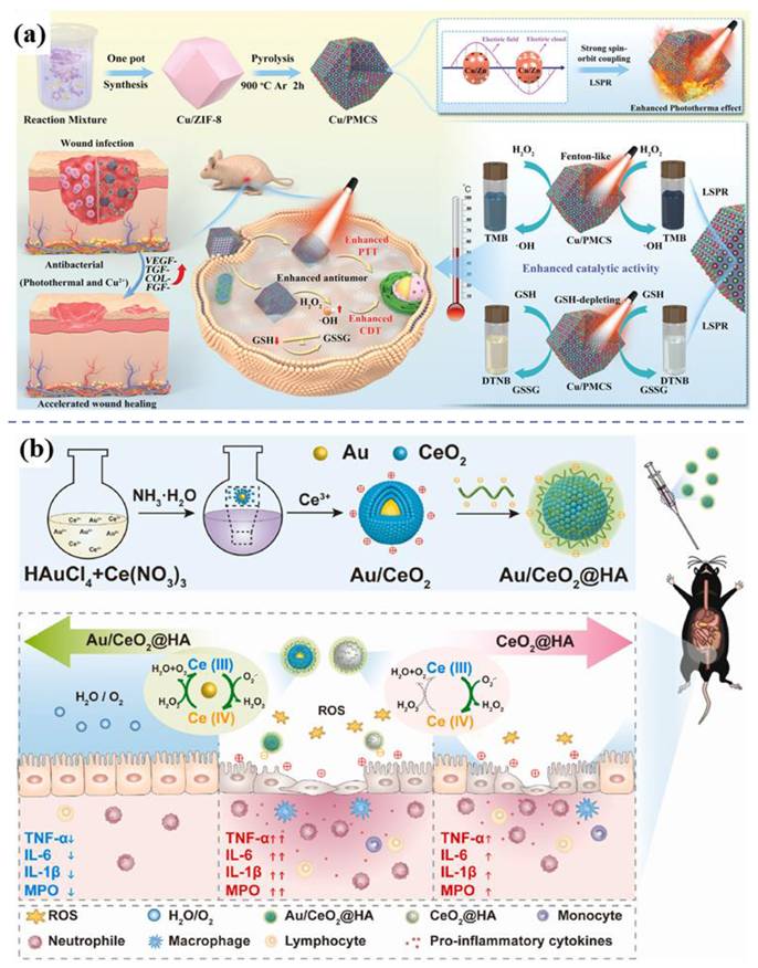 Theranostics Image