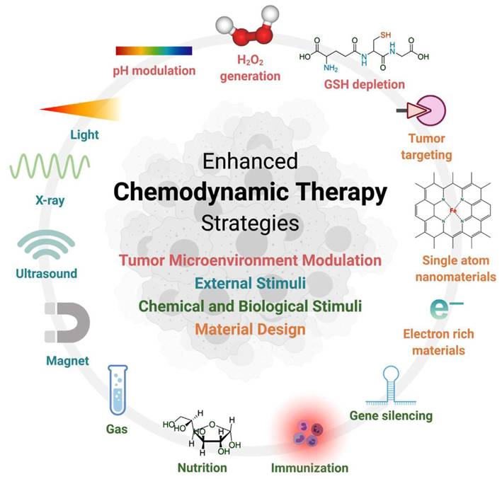 Theranostics Image