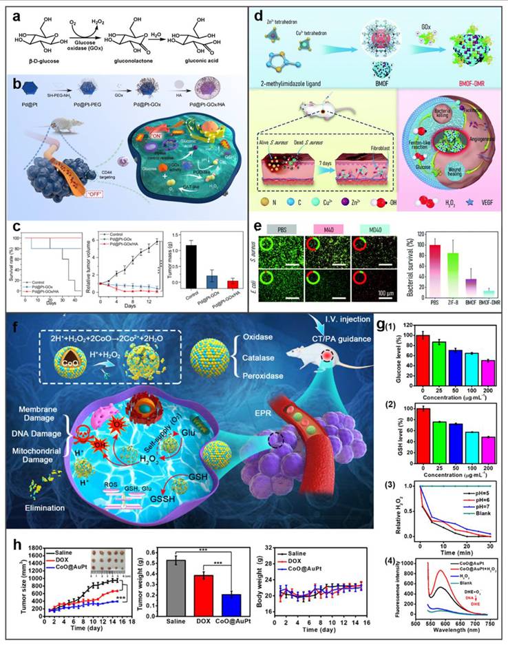 Theranostics Image