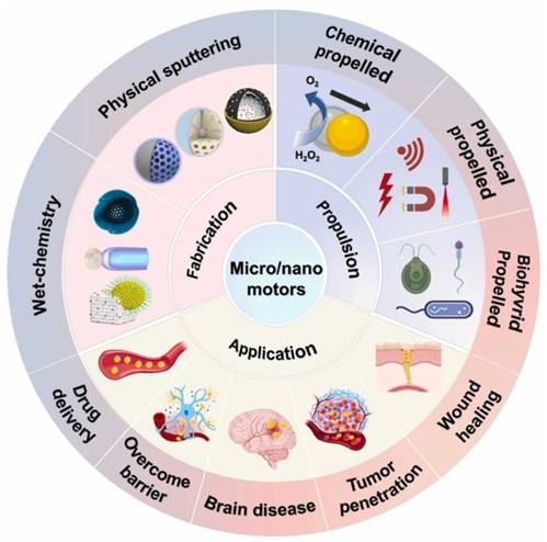 Theranostics Image
