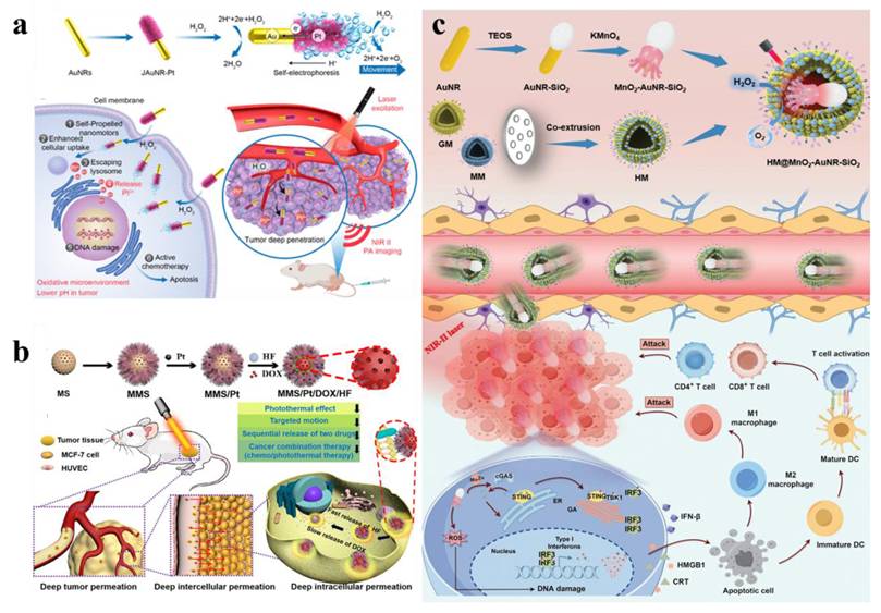 Theranostics Image