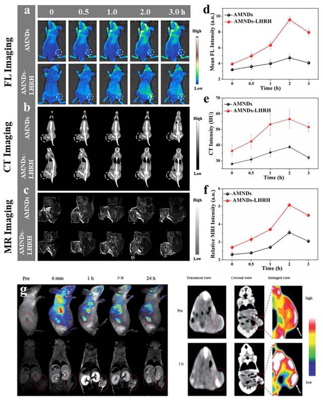 Theranostics Image