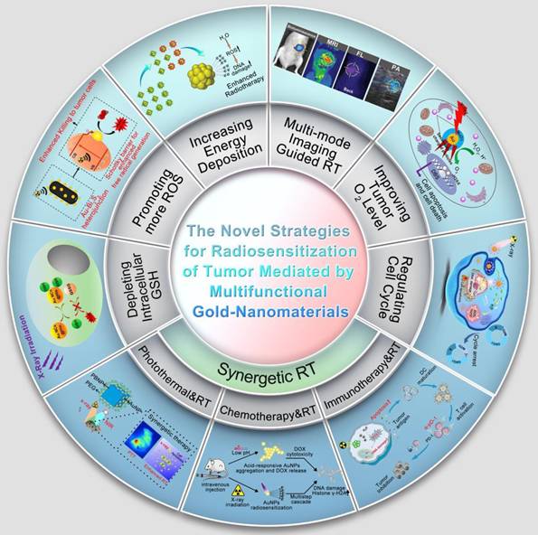 Theranostics Image
