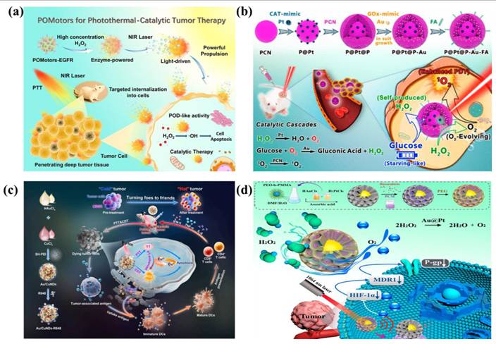 Theranostics Image