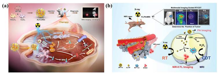 Theranostics Image