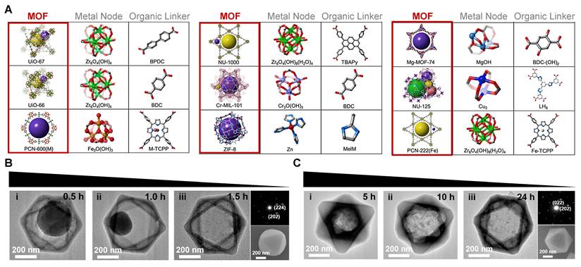 Theranostics Image