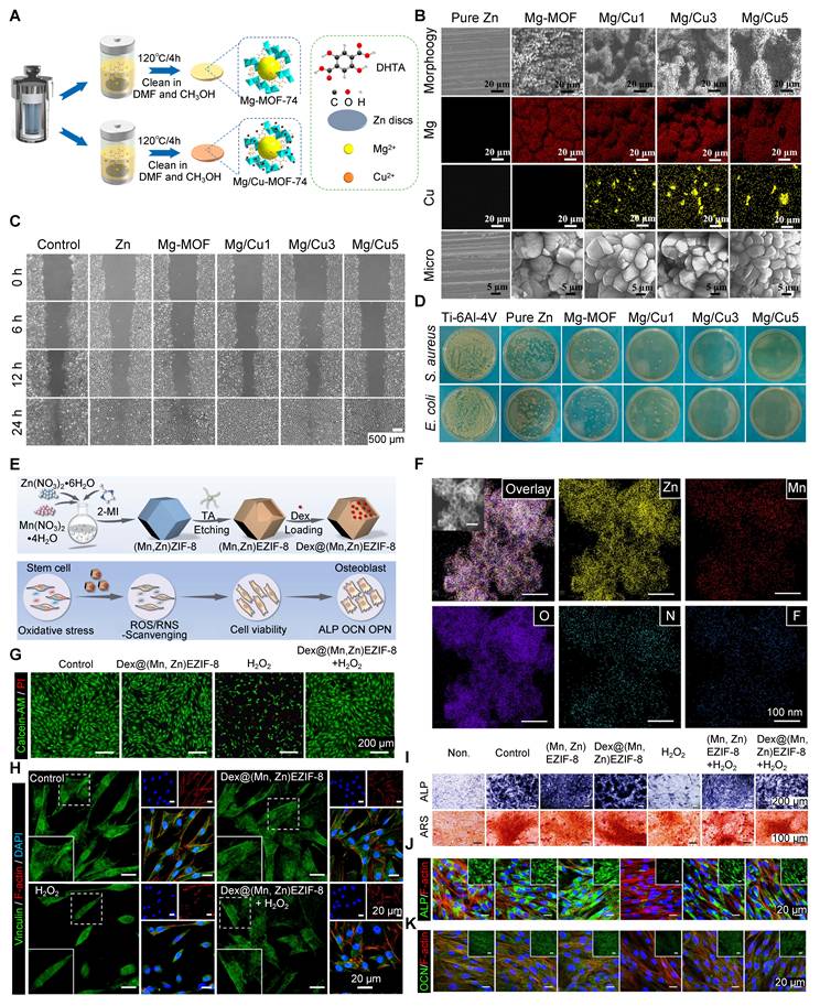 Theranostics Image
