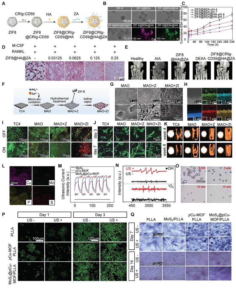 Theranostics Image