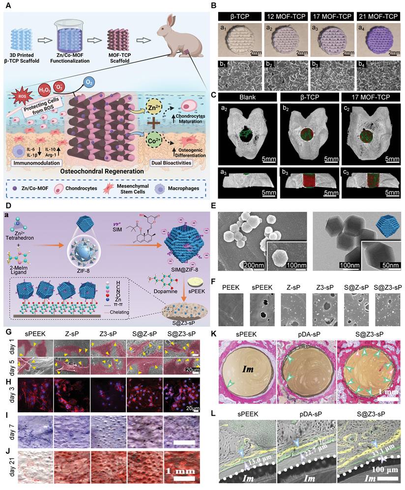 Theranostics Image