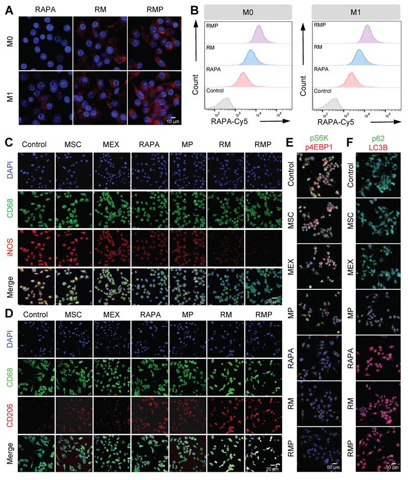 Theranostics Image