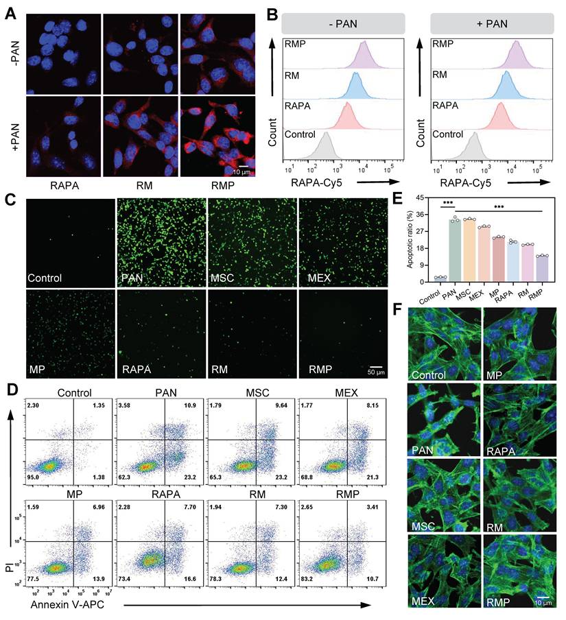 Theranostics Image