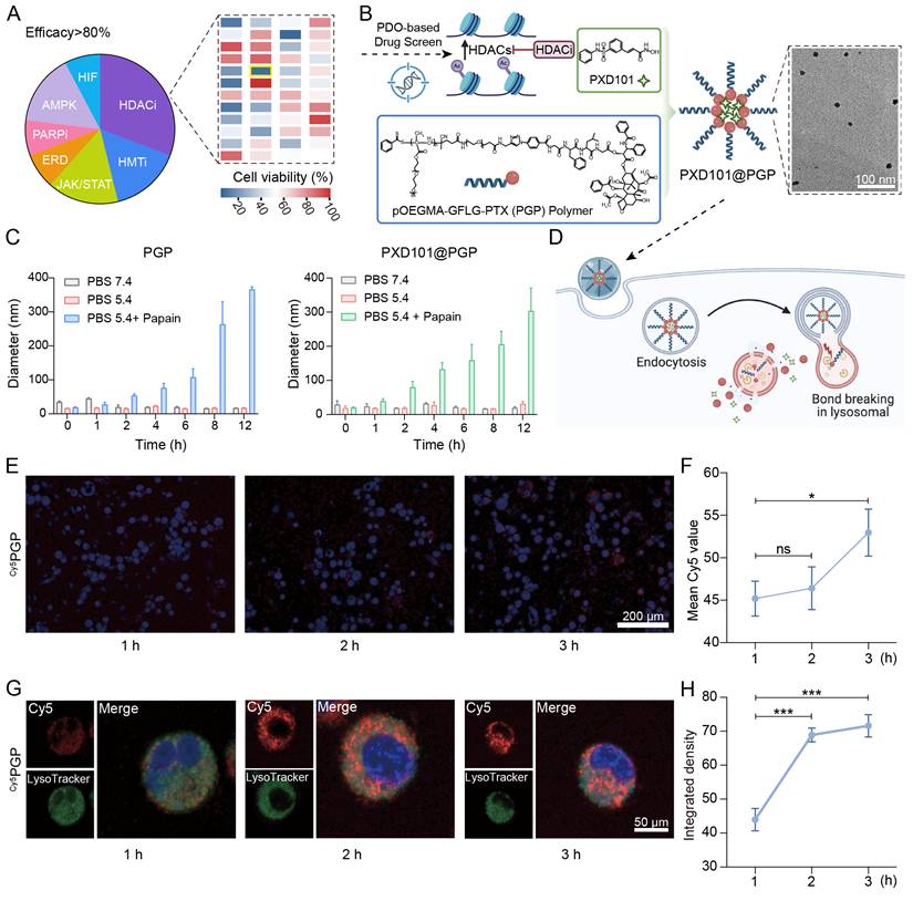 Theranostics Image