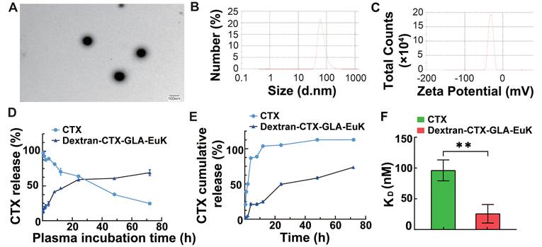 Theranostics Image