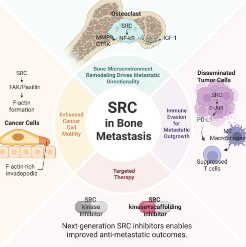 Graphic abstract